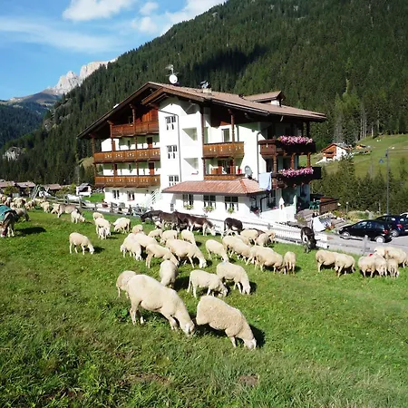 Sassleng Val Di Fassa
